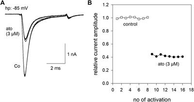 Block of Voltage-Gated Sodium Channels by Atomoxetine in a State- and Use-dependent Manner